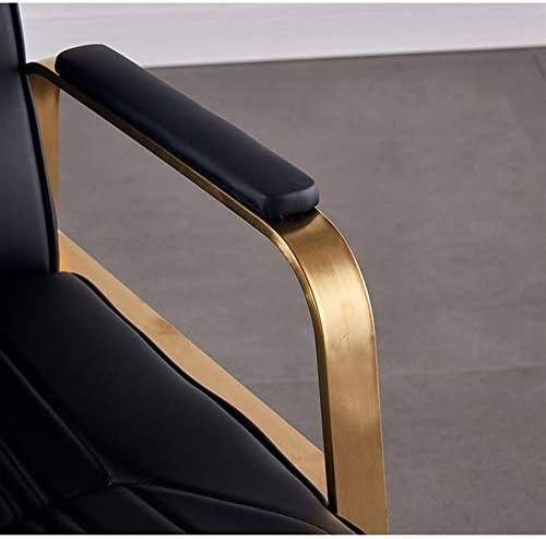 בציר סלון כיסא הידראולי יופי ציוד, כיסא ספר עבור תחנות הידראולי שיער סלון סטיילינג בארבר כיסא מאיץ קלאסי כורסה עבור מעצב שיער (
