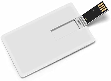 דגל Pansexual Skul USB כונן הבזק בהתאמה אישית של כרטיס אשראי כונן זיכרון מקל מתנות מקש USB