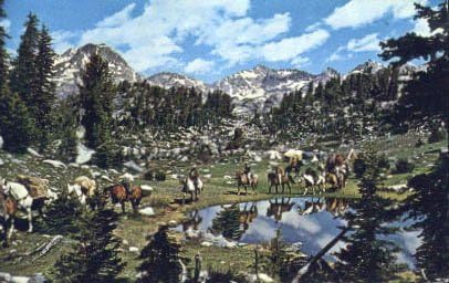 Duboise, Wyoming Postcard