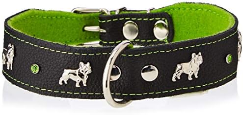 CAPADI K0325 צווארון כלבים לבולדוג 'מעוטר באפליקציה מתכתית עשויה עור עמיד ועמידה רוחב ירוק מרופד רך 40 ממ אורך 55 סמ