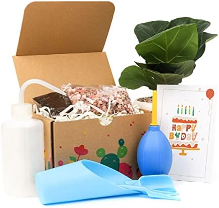 ערכת מתנה למתחילים עציצים-סט קופסאות מתנה-קופסת מתנה עציצים-קופסת מתנה להפתעה-קופסת מתנה לחבר הכי טוב
